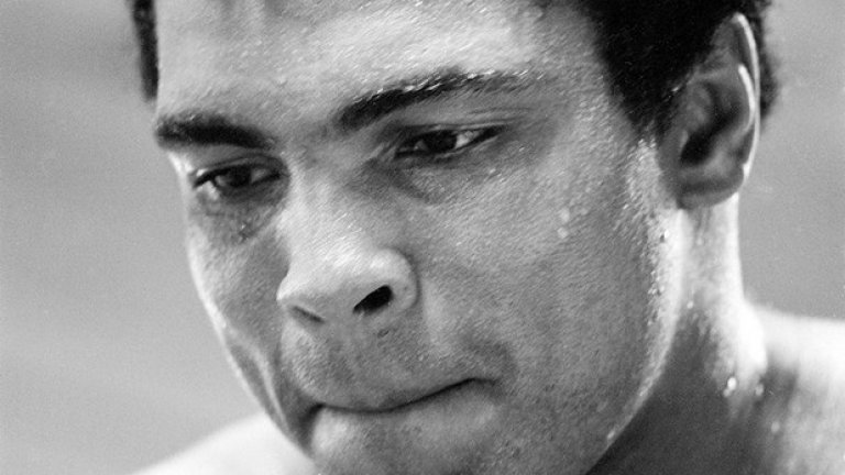 3 юни 2016 г. Мохамед Али се пренесе на небесния ринг. Остави след себе си 9 деца и милиони почитатели по цял свят. "На мен боксът няма да ми липсва. Но аз ще липсвам на бокса". 