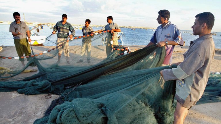 Проблем с глобално измерение, който застрашава както природата, така и уязвими икономики и общества из целия свят
