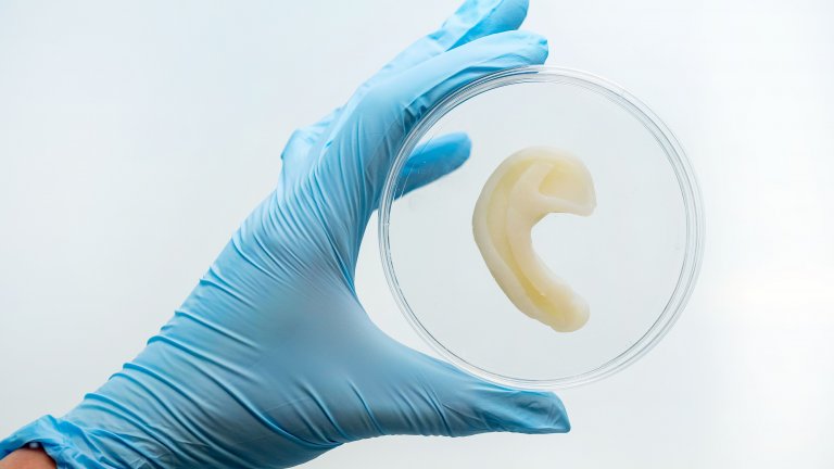 Модел на биопринтирано ухо