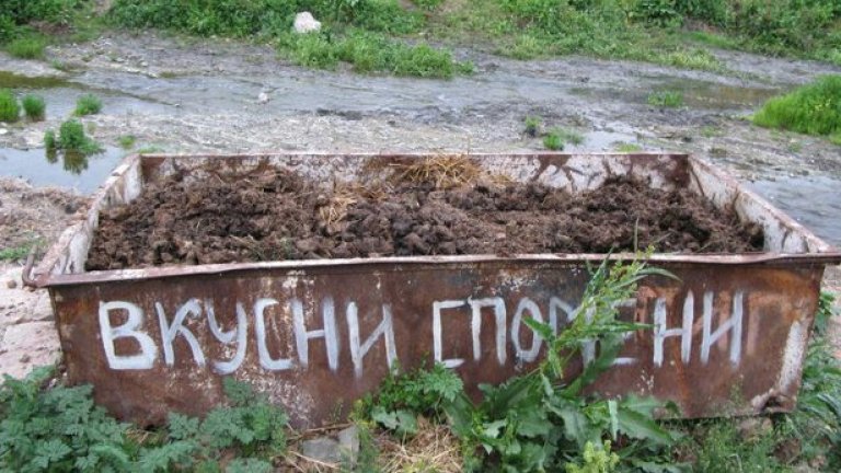 В тоя безутешен световен недоимък на мъже, един светъл селски лъч озари небето...