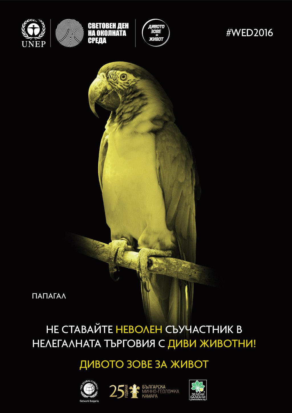 папагал
