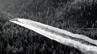 1955._Ford_tri-motor_spraying_DDT._Western_spruce_budworm_control_project._Powder_River_control_unit,_OR._(32213742634)