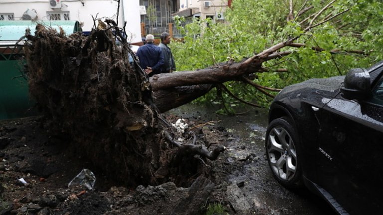 11 жертви, 146 ранени и щети за милиони след урагана в Москва (галерия)