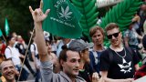 Германия иска да легализира марихуаната, но не всички са доволни от плановете ѝ