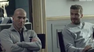 becks