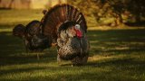 tyler-donaghy-Jnp4us39yuU-unsplash