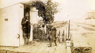Jack.signalman