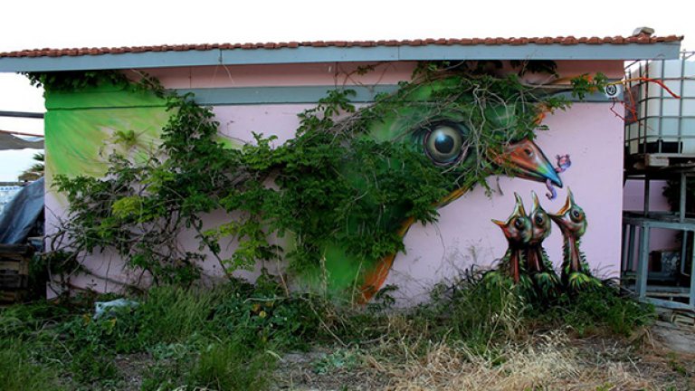 Птица, Атина, Гърция