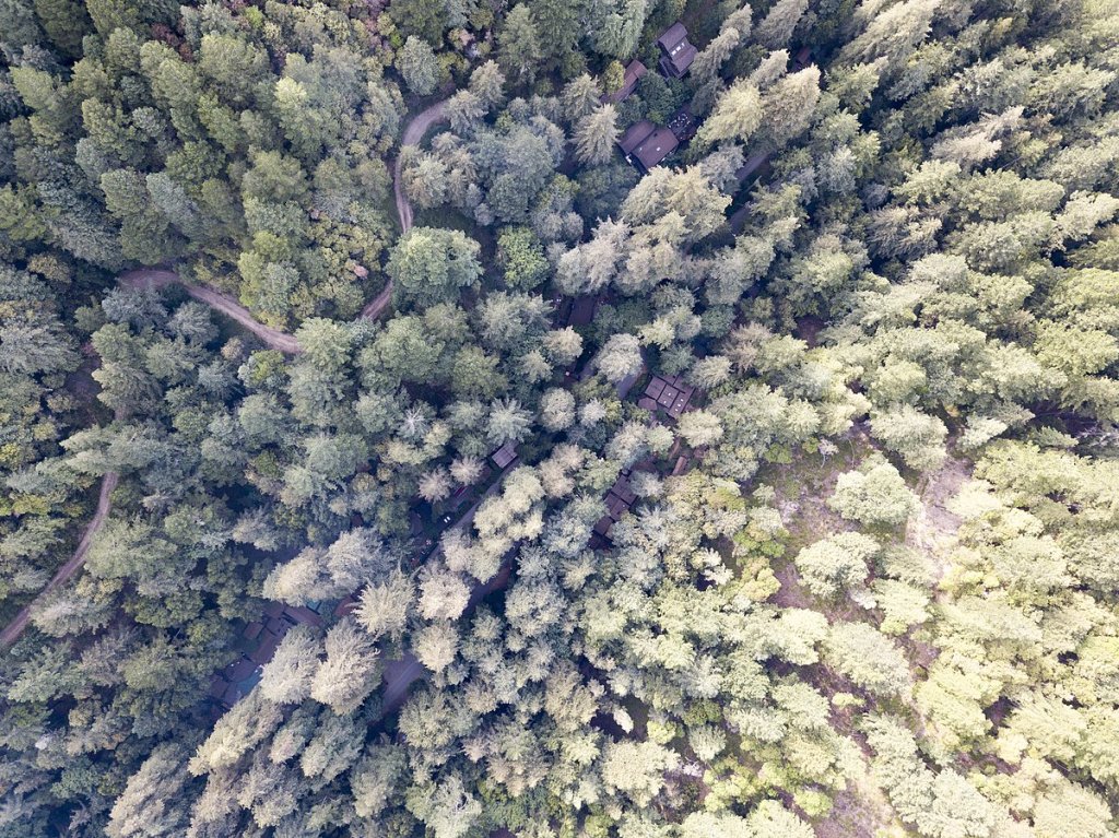 1200px-Aerial_Image_of_Bohemian_Grove_Buildings
