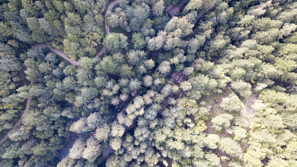 1200px-Aerial_Image_of_Bohemian_Grove_Buildings