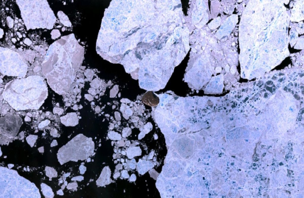 Wfm_hans_island_landsat