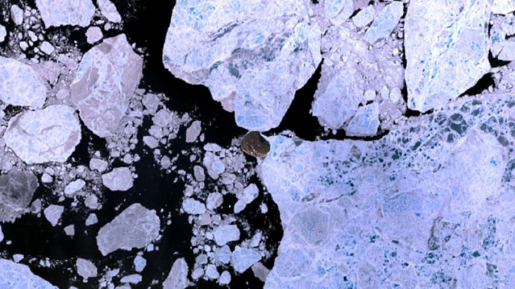 Wfm_hans_island_landsat