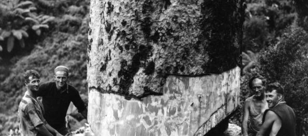 Истинските lumberjacks