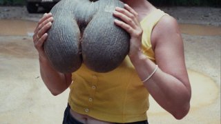 Coco_de_mer-js