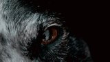 virginia-johnson-zo_YtvTx4yI-unsplash