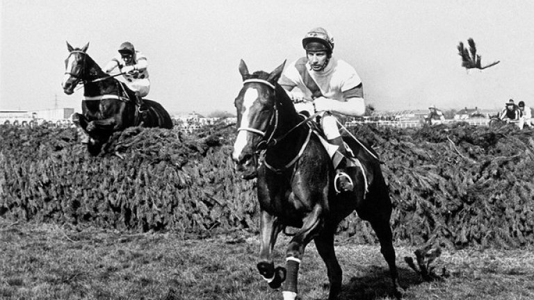 Боб Чемпиън е велико име сред жокеите, един от големите в историята на конния спорт. През 1979-а бе приет по спешност в болница и се оказа, че има напреднала форма на тумор в тестисите. Две години по-късно не само бе преборил болестта, но и спечели Гранд Нешънъл, най-важното състезание в конните надбягвания за годината.