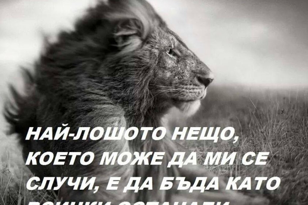Тихо там, Симба