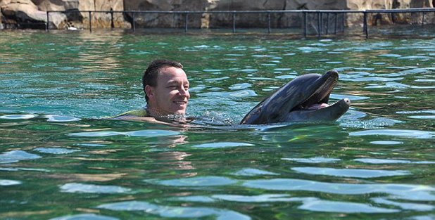 Джон Тери плува с делфини