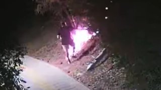 Те умишлено са причинили пожарите във Велико Търново и Сливен