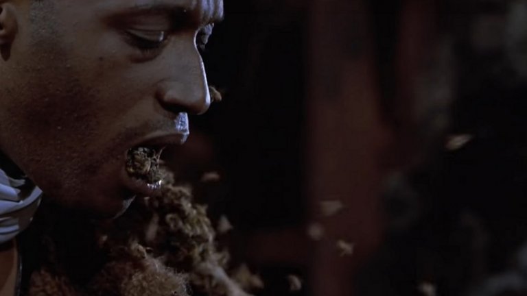 5. Candyman / Кендимен (1992)
"Кендимен" е сочен за една от най-добрите филмови екранизации по разказ на Баркър. Филмът разказва за младата Хелън, която подготвя доклад за местните легенди и митове. Един от тези митове е историята за Кендимен - човек с кука на мястото на едната си ръка, в чието тяло живеят пчели. В търсене на повече информация за легендата Хелън се озовава на място, на което ще разбере, че зад всеки мит има голяма доза истина. И тук следват няколко продължения, но съветът ни е да се придържате към оригинала.