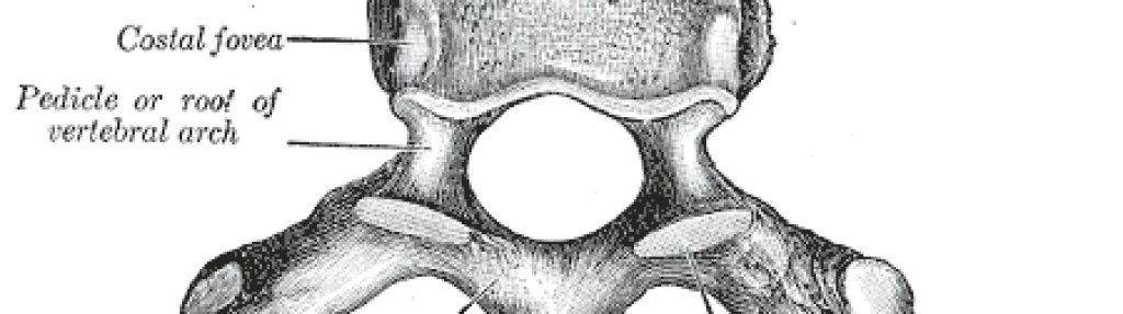 Gray82