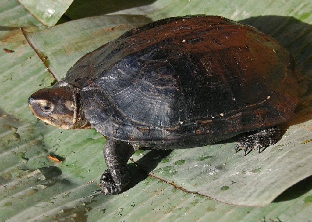 Sieben_crass_100118-0367_stgd