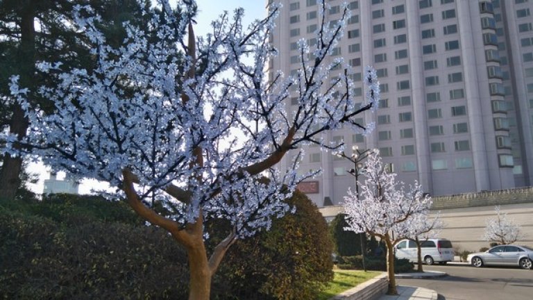 Спорът между държавата и собственика на хотела Ветко Арабаджиев все още очаква окончателно решение на съда