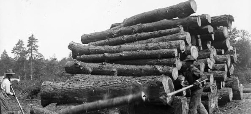 Истинските lumberjacks