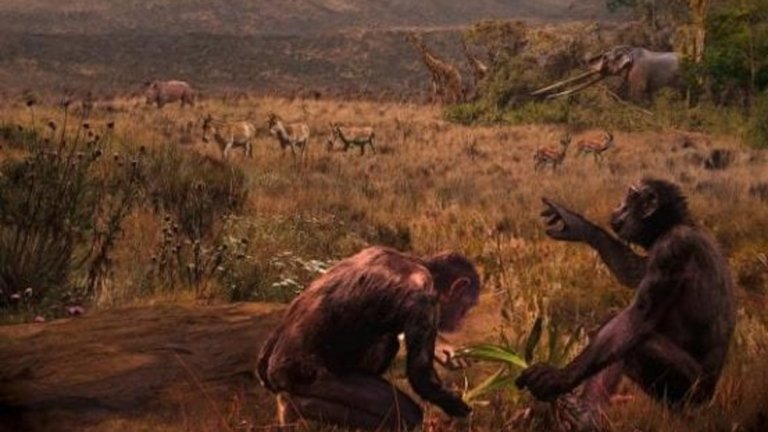 Две находки, намерени в България и Гърция загатват, че е възможно първите хора да са се появили в Европа, не в Африка, както се смяташе досега