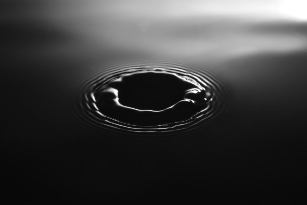 julian-bock-Y6-GL40aPPs-unsplash