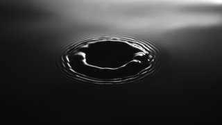 julian-bock-Y6-GL40aPPs-unsplash