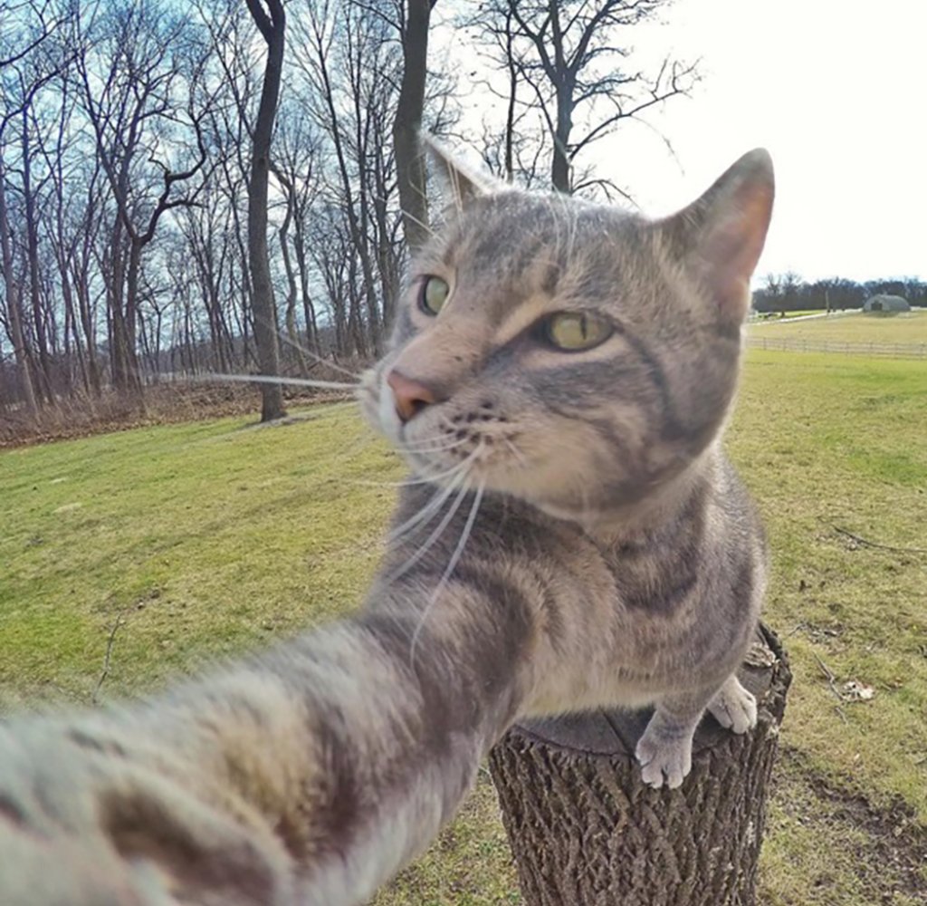 Селфи с котката Мани