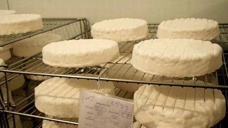 Румънският Сенат намали ДДС на основните хранителни продукти на 5%