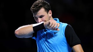 григор димитров, базел, рафаел надал