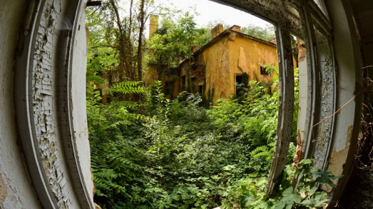 Вътрешният двор на семинарията в наши дни се е превърнал в непроходима гора