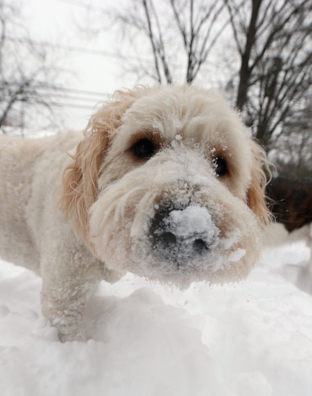 Blizzard Barrels Into Northeastern U.S.