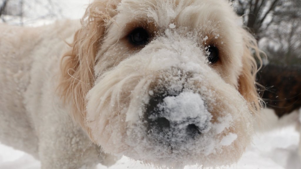 Blizzard Barrels Into Northeastern U.S.