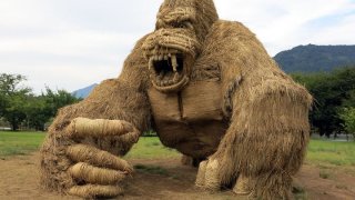 straw-sculptures-wara-art-festival-niigata-japan-22-59d5d4a98868b__880