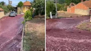 Разсипаният алкохол е колкото да се напълни басейн с олимпийски размери