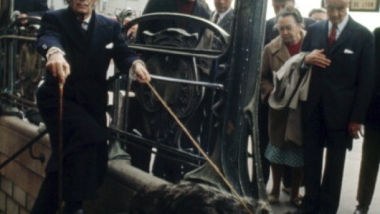 Ексцентричният художник разхожда марвояда си из Париж. Според него, животното символизира сюрреализма, затова през 1969 година го придружава от Барселона до френската столица