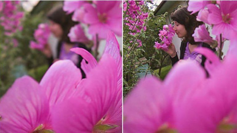 Според някои анализатори новата технология е по-скоро интересна технологична джаджа, отколкото нещо, което ще промени изцяло фотографската индустрия