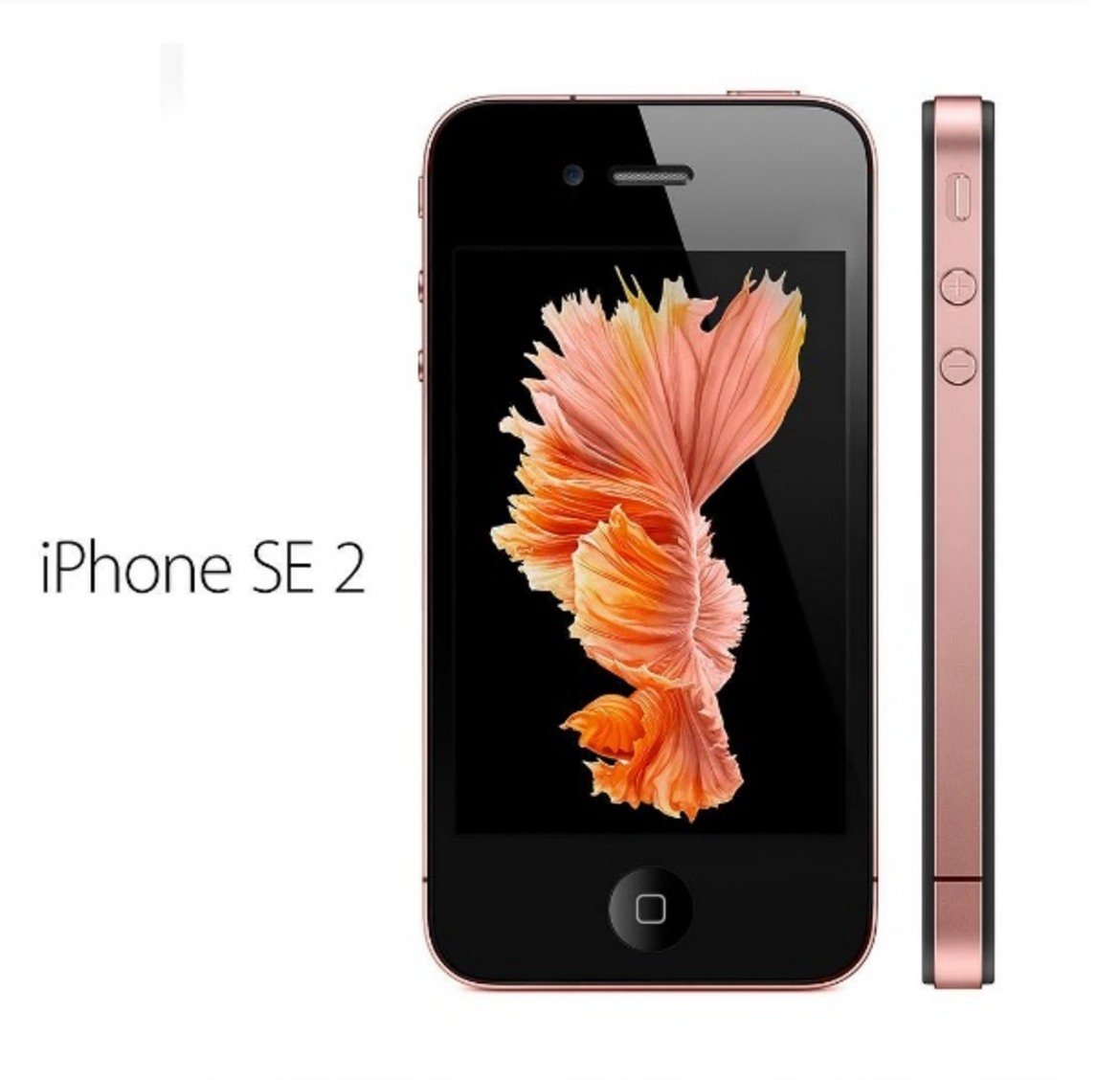 Друга новост от Apple ще бъде iPhone SE 2, по-малката и по-евтина алтернатива на iPhone 8. Моделът ще се продава за около 400 долара. Дизайнът му към момента не е напълно ясен и може да претърпи промени, но характеристиките му са известни. Според слуховете A9 чипът ще бъде заменен с А10 чип, който вече е познат от iPhone 7. Не се знае кога ще бъде достъпен на пазара.

