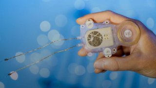 extra_large-1647941566-brain-interface