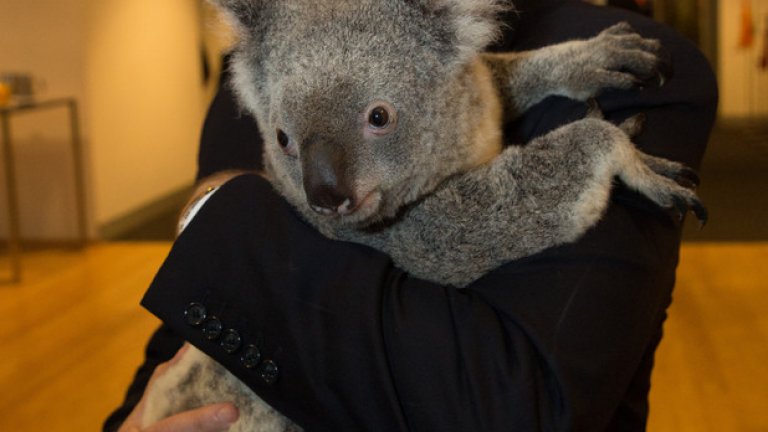 Премиерът на Нова Зеландия Джон Кей