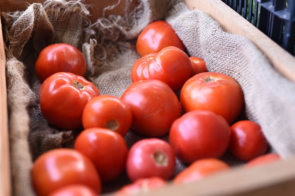 Farmer's_Market_I