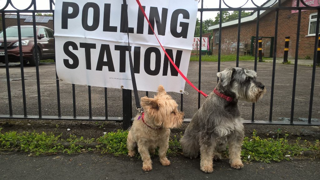#dogsatpollingstations