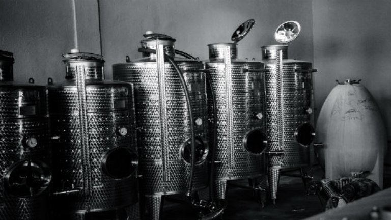 Яйцето най-вдясно е особеният ферментатор, носещ подписите на всички, работили за "Росиди" до момента