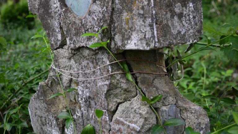 Този напукан надгробен камък е един от най-старите тук. За съжаление времето безвъзвратно е заличило името на погребания под него покойник