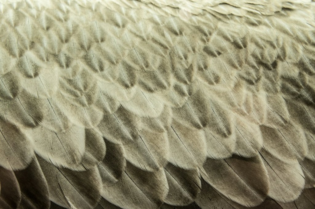 tina-hartung-G7qObqWnCIA-unsplash
