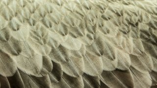 tina-hartung-G7qObqWnCIA-unsplash